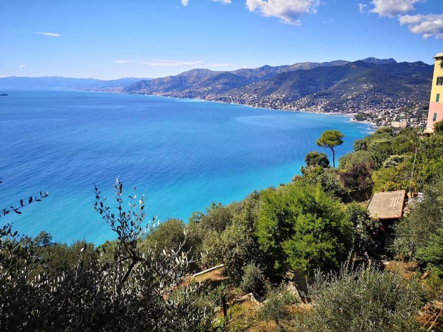Villa Olivari - Apt Il Melograno Camogli Bagian luar foto