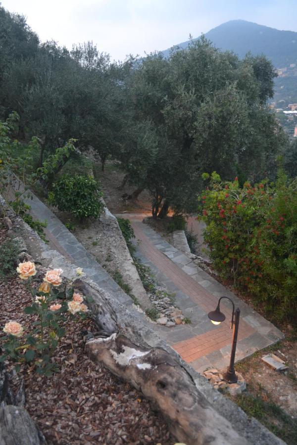 Villa Olivari - Apt Il Melograno Camogli Bagian luar foto